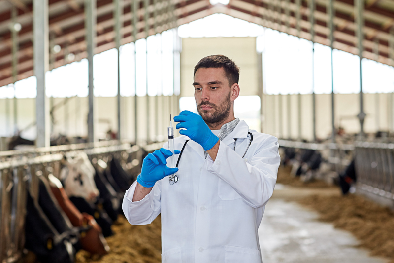 Tierarzt mit Labor