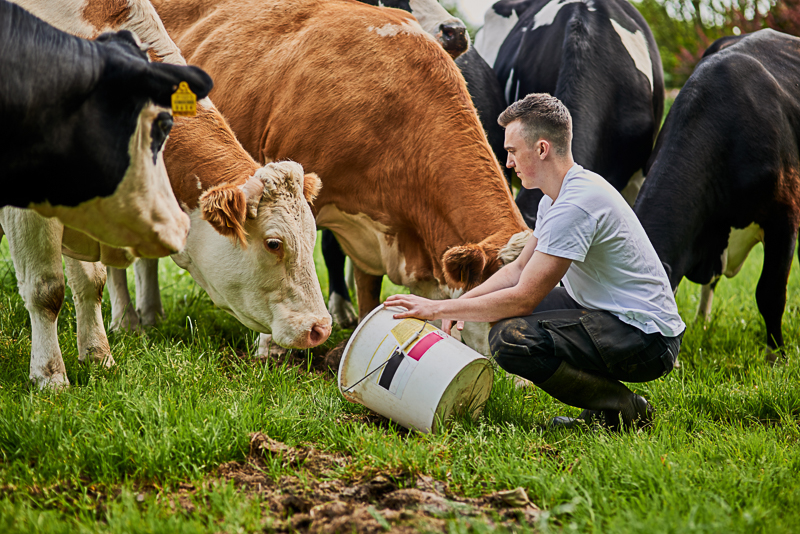 Tierarzt Fütterungsmanagement